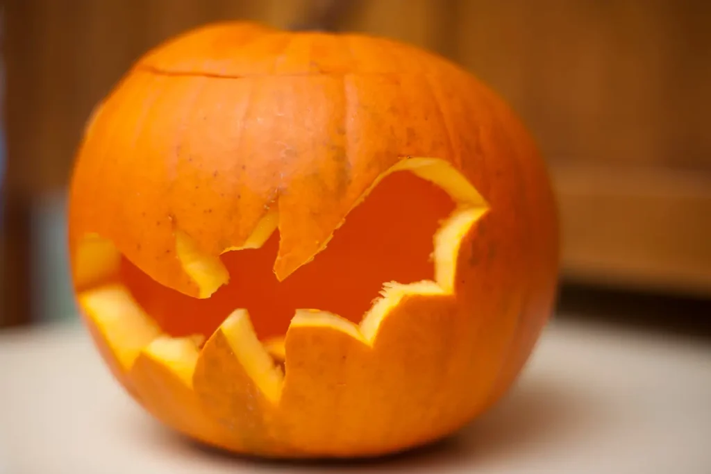 bat carved pumpkin