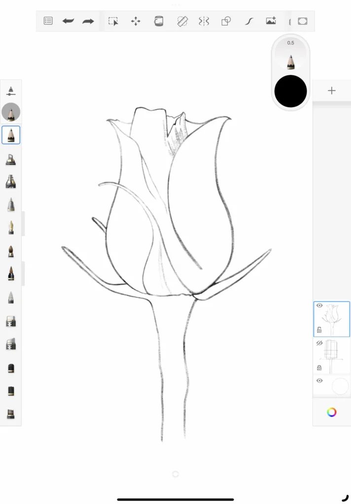How do draw a rose step 6