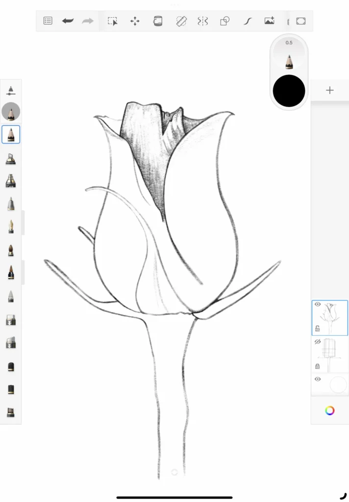 How do draw a rose step 7a