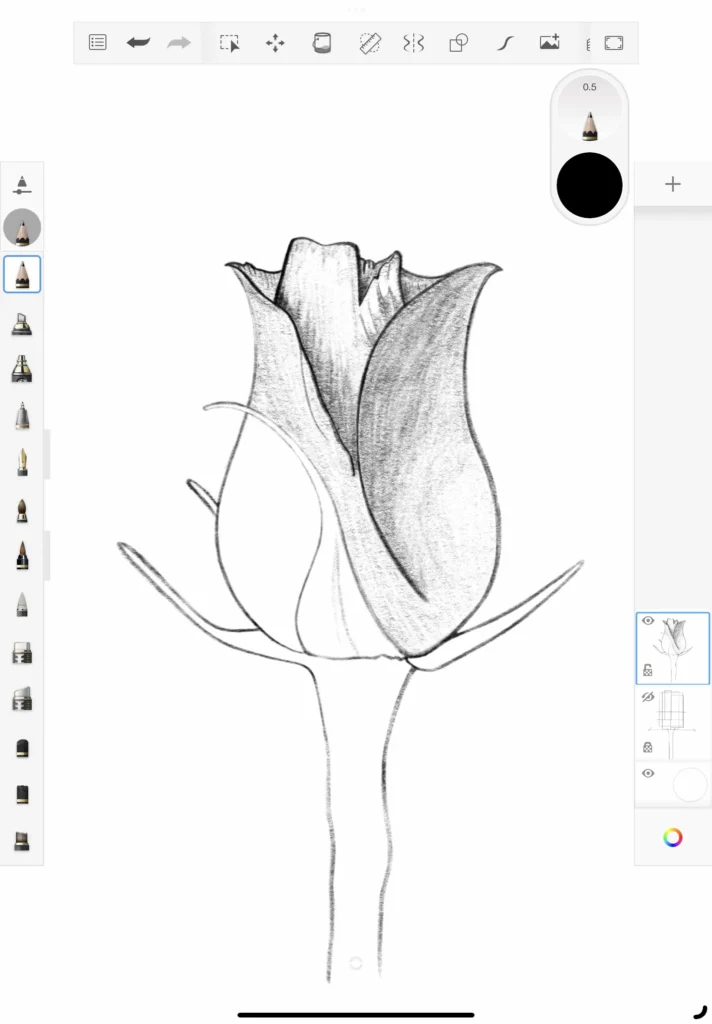 How do draw a rose step 7b